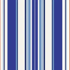 Tissu enduit Bleu