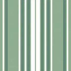 Tissu enduit Vert
