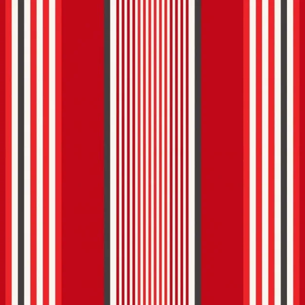 Tissu Rouge